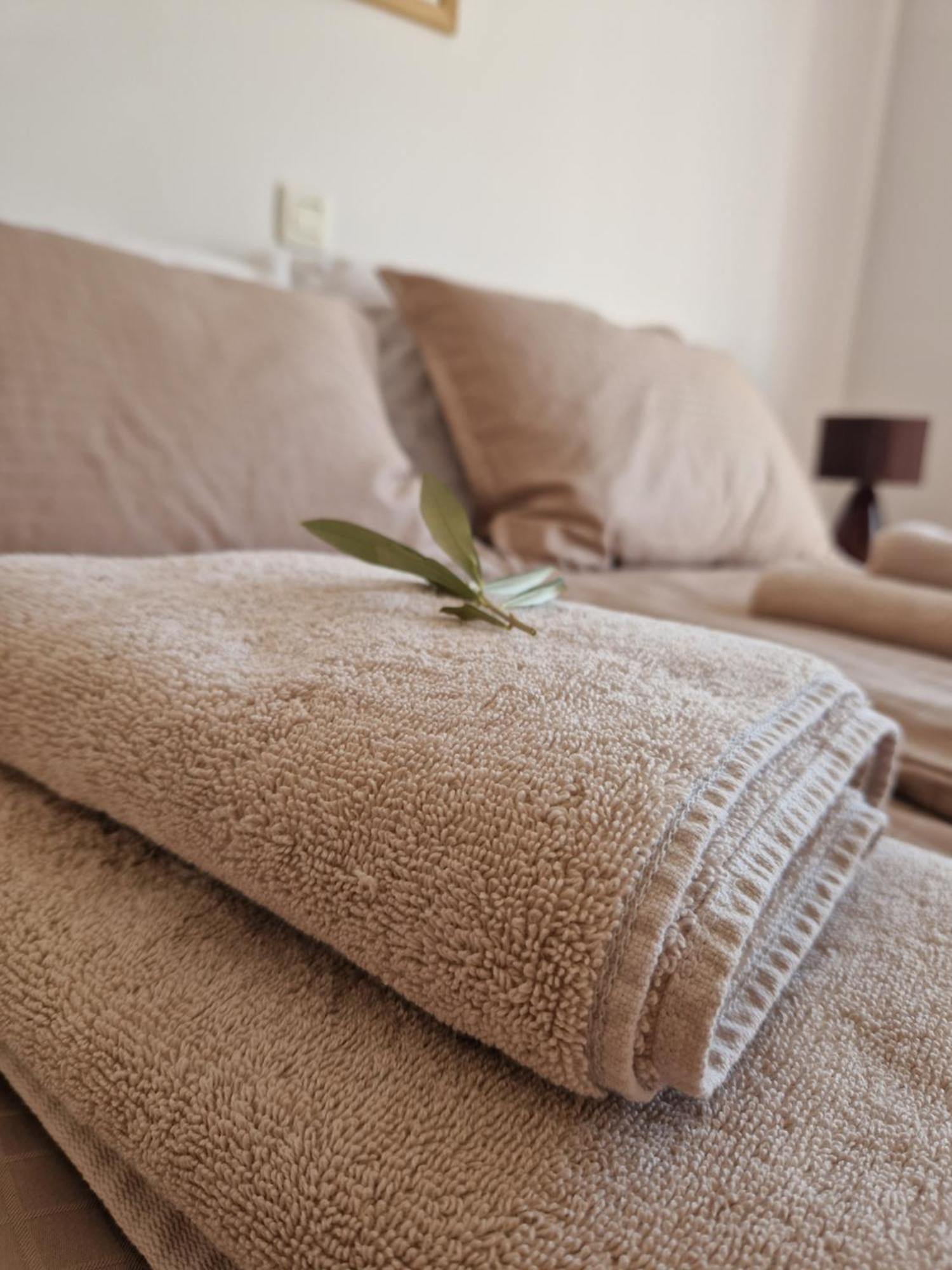Apartament House Olive Garden